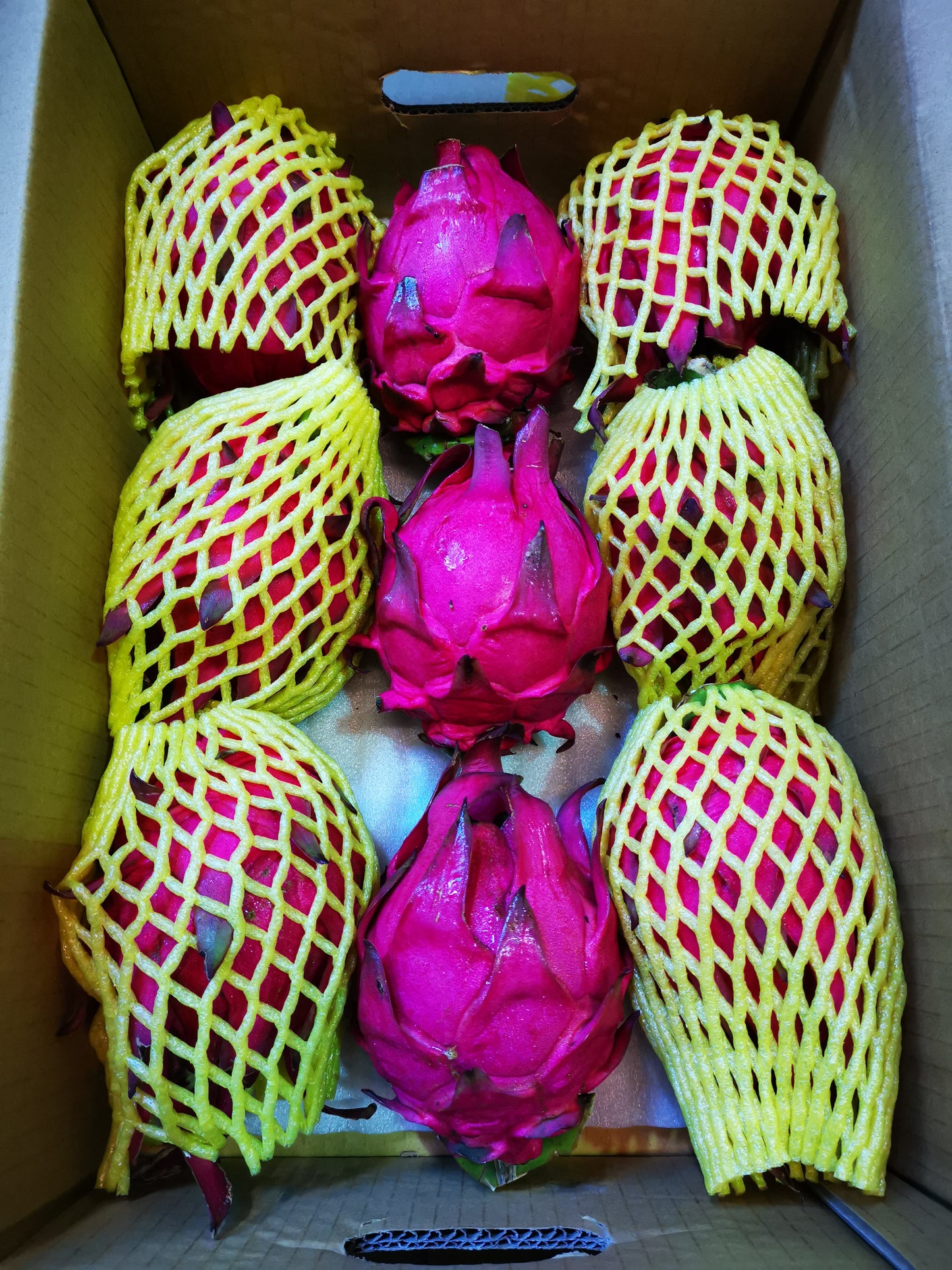 Dragon Fruit, Red - 紅肉火龍果 - 6KG