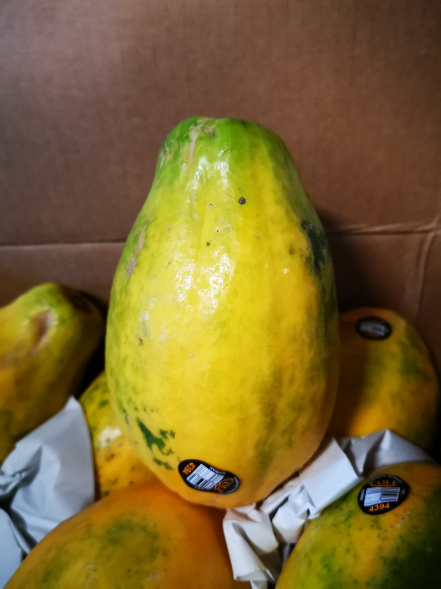 Papaya, Hawaii - 夏威夷木瓜