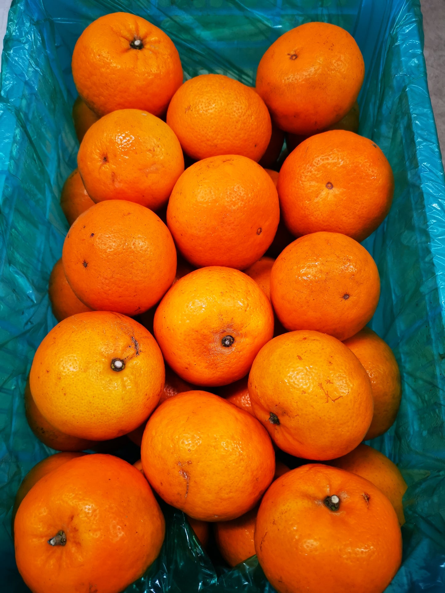 Mandarin, Yook (Easy Peel) - 沃柑 - 9kg