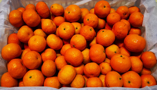 Mandarin, Honey - 砂糖桔