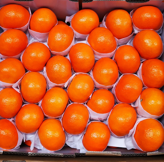 Mandarins, Fertility - 沃柑