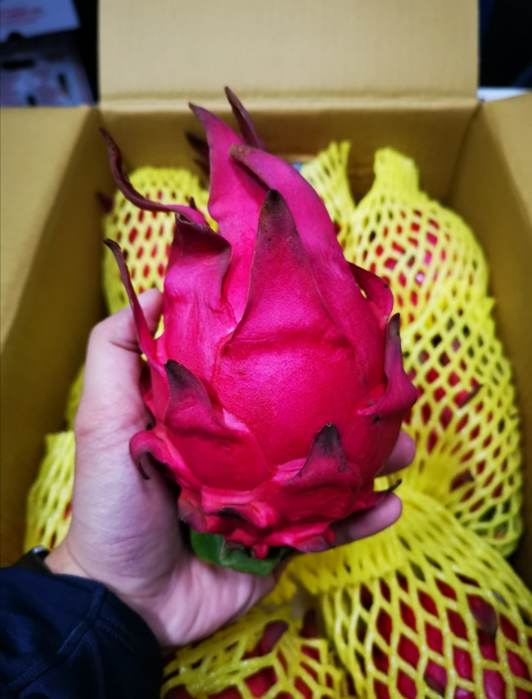 Dragon Fruit, Red - 紅肉火龍果 - 6KG